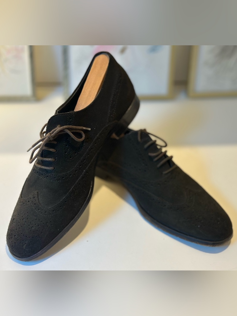 Tod’s Chocolate brown Suede Wingtip Oxford Shoes - like new. US sz 7